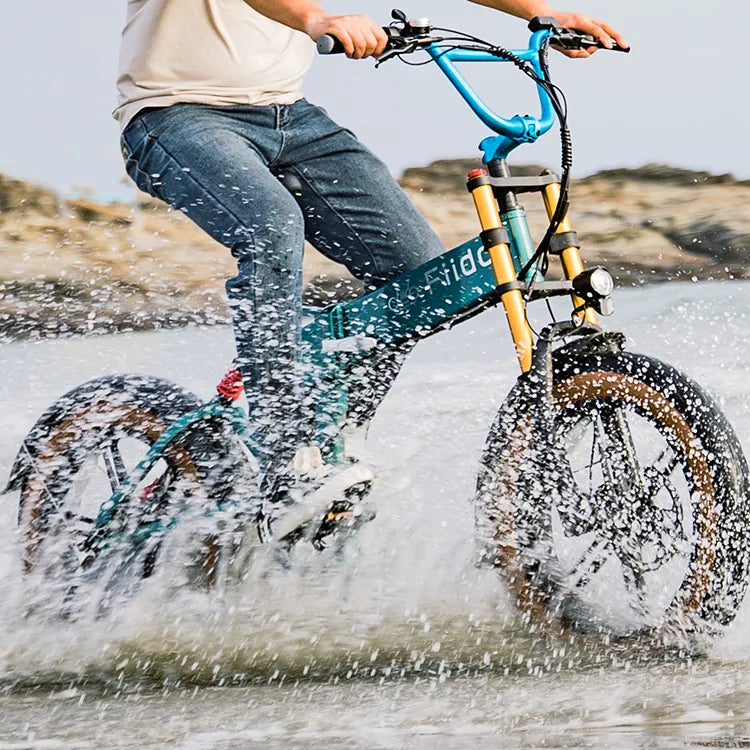 Fiido M1 Pro Fat Tire Electric Bike