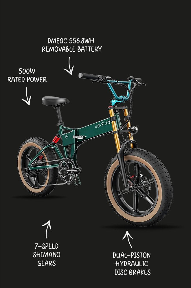 Fiido M1 Pro Fat Tire Electric Bike