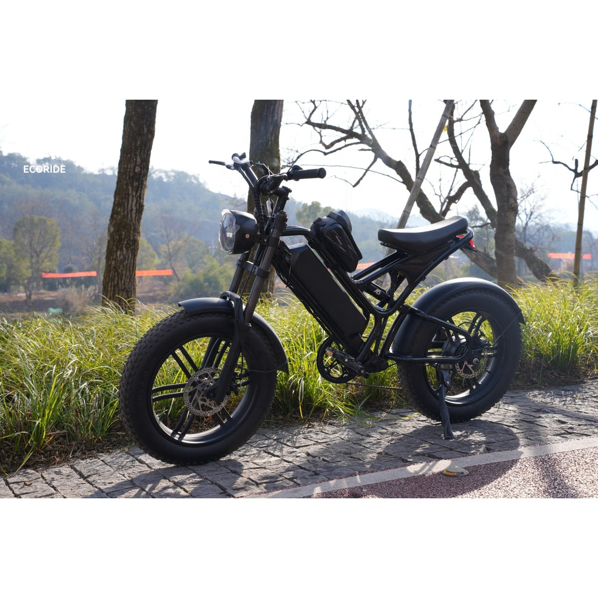V10 Electric Bicycle