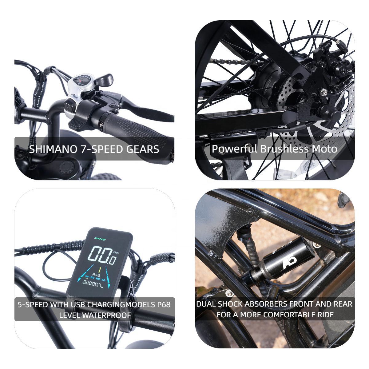 V10 Electric Bicycle
