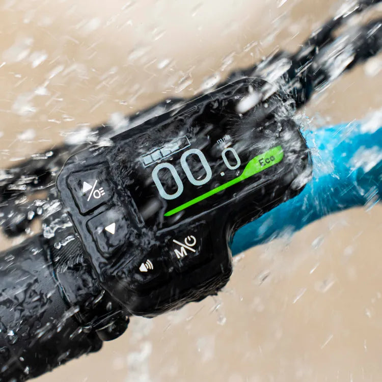 Fiido M1 Pro Fat Tire Electric Bike