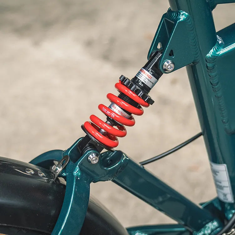 Fiido M1 Pro Fat Tire Electric Bike
