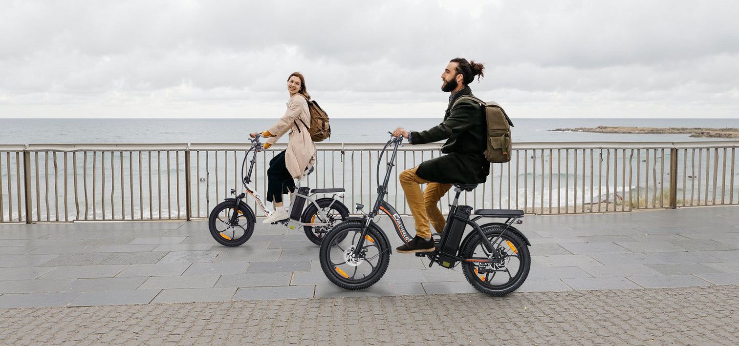 CHEEVALRY C16 Electric Bike