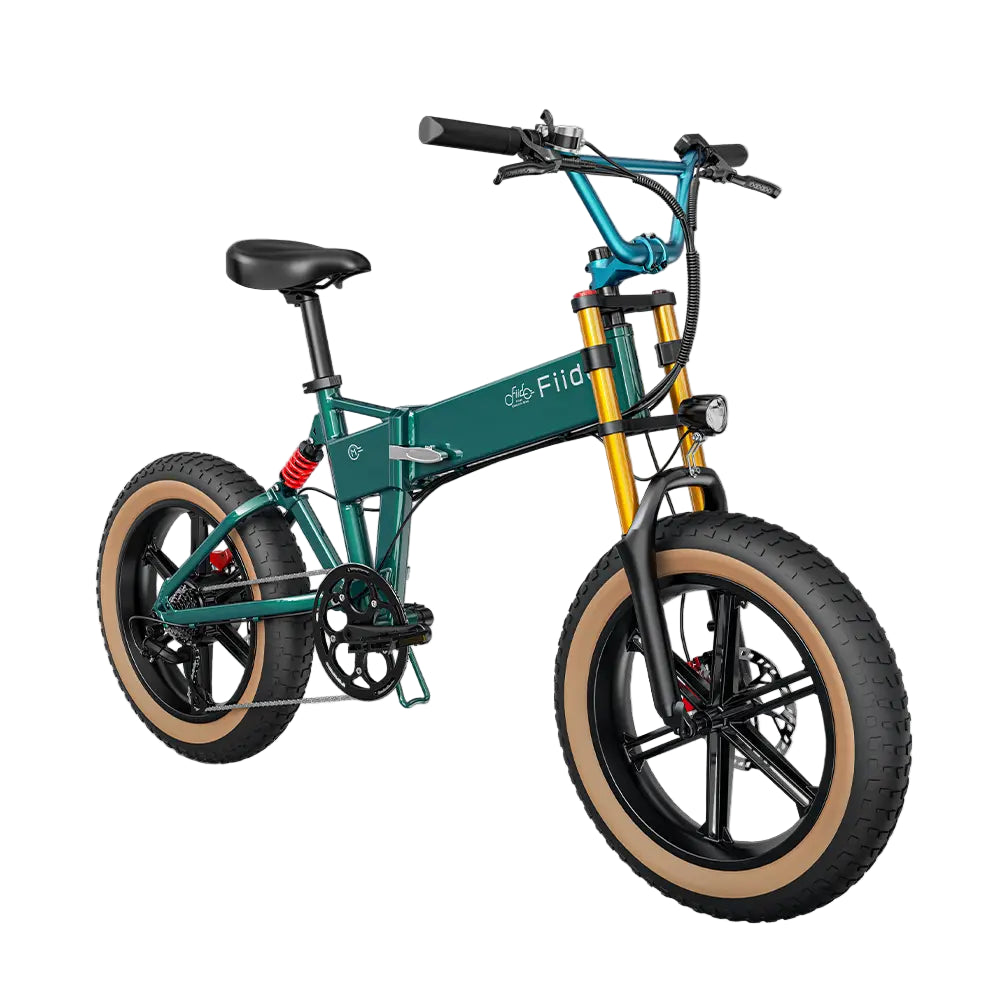 Fiido M1 Pro Fat Tire Electric Bike