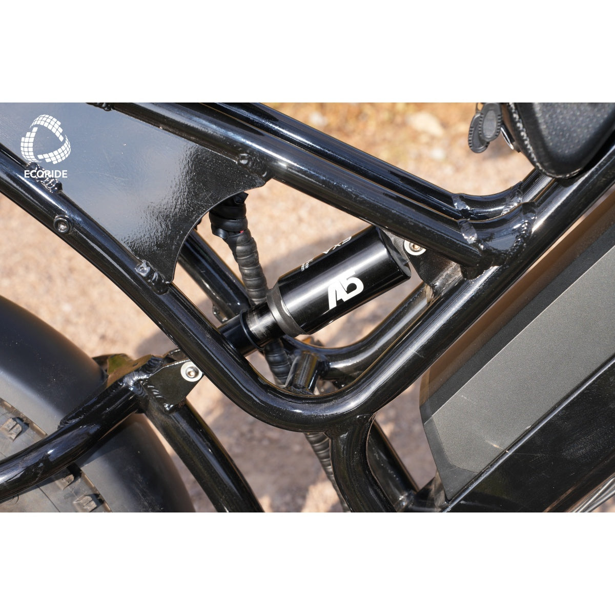V10 Electric Bicycle